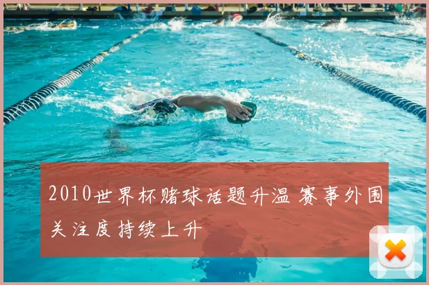 2010世界杯赌球话题升温 赛事外围关注度持续上升